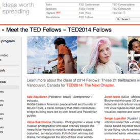 Ted Fellowship 2014
