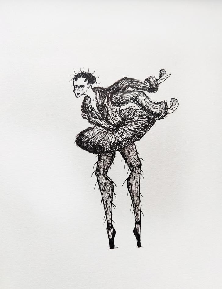 Black swan / sketch